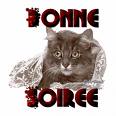 chat 