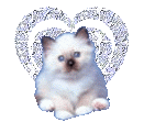 je t aime
